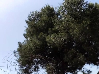 Secretly fucking outside with a brunette woman